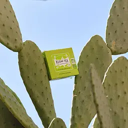 Чай зелений Kusmi Tea Green Ginger-Lemon органічний 40 г (20 шт. х 2 г) - мініатюра 4