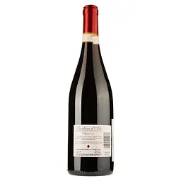 Вино Roberto Sarotto Barbera d'Asti Superiore DOCG, червоне, сухе, 0,75 л - мініатюра 2