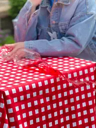 Водовідштовхувальна Скатертина Червона клітинка 240х140 см (+ 5 серветок 30х40) - мініатюра 2