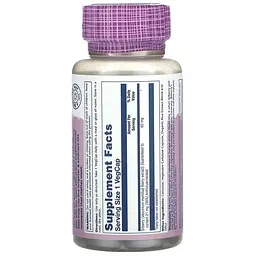 Екстракт чорниці Solaray Bilberry Berry Extract 60 мг 60 веганських капсул - мініатюра 2