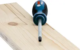 Викрутка Professional Torx T10х75мм Bosch hoz0014158 - мініатюра 4