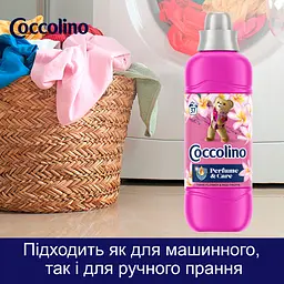 Кондиціонер для білизни Coccolino Perfume & Care Квітка тіаре червоні фрукти жасмин та ваніль (925 мл х 2 шт.)(64894928) - мініатюра 7
