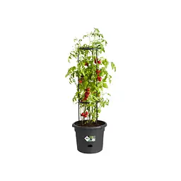 Вазон Elho Green Basics для томатів чорний 33 см (331634) - мініатюра 2