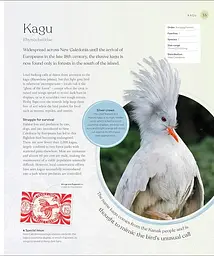 The Bird Book - мініатюра 3