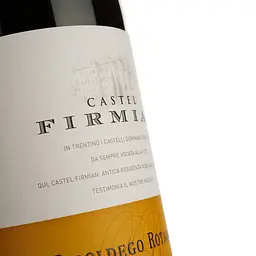 Вино Castel Firmian Teroldego Rotaliano DOC червоне сухе 0.75 л - мініатюра 3