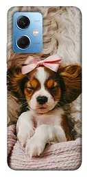 TPU чохол Demsky Sleepy spaniel для Xiaomi Redmi Note 12 5G