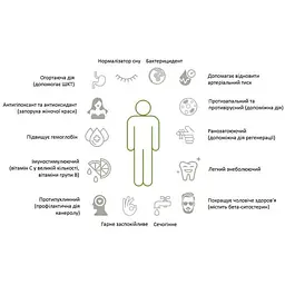 Чай кипрійний Mol'far з листям м'яти та меліси, органічний, 50 г - мініатюра 4