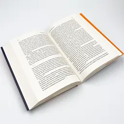 Черчилль і Орвелл. Битва за свободу — Томас Рікс | Лаборатория, книга українською, нова, м'яка - мініатюра 3