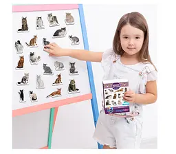 Магнітний набір Magdum Magnetic set Breeds of cats Породи котів (ML4031-13 EN) - мініатюра 7