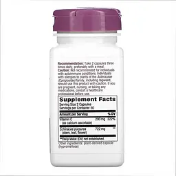 Ехінацея з вітаміном С, Echinacea & Vitamin C - 100 вег. капсул - мініатюра 2
