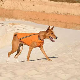Жилет для собак Pet Fashion E.Vest SM помаранчевий - мініатюра 4