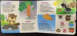 Книга Рухомі картинки. Хто ж де живе? kni0003626 - мініатюра 4