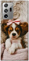 TPU чохол Demsky Sleepy spaniel для Samsung Galaxy Note 20 Ultra