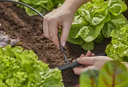 З'єднувач прямий Gardena Micro-Drip-System для шлангів 4,6 мм, 10 шт (13213-20) - мініатюра 3