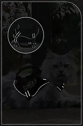 Шлейка для котів Fanxing Pet, світловідбивний жилет із ручкою M, Чорний - мініатюра 6