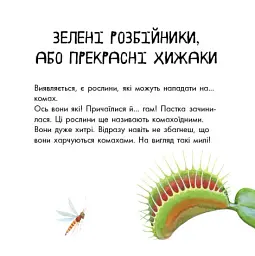 В гостях у природи. Про рослини - мініатюра 4