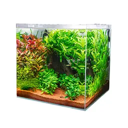Акваріумний комплект з ультрабілого скла Dupla Cube Set 80 45x45x40 см (80896) - мініатюра 4