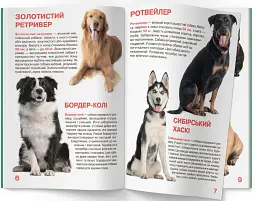 Велика книжка. Собаки - Олег Зав'язкин - мініатюра 2