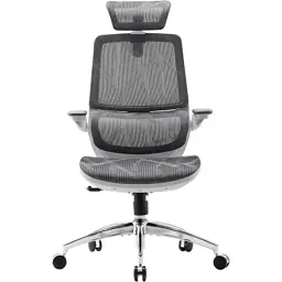 Офисное кресло Sihoo M59AS Mesh Gray (M59AS-M301)