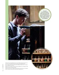 From the Films of Harry Potter: 100 Objects. The Most Iconic Props from the Movies - Джоді Ревенсон - мініатюра 8