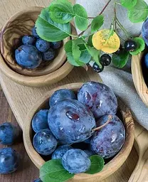 Саджанець Agro-Market Слива Кабардинка (осінній сорт, пізній термін дозрівання) (36530) 1 шт. в упаковці - мініатюра 2
