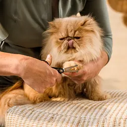 Ножиці для грумінгу делікатних зон Fiskars Pet Care (2009124) - мініатюра 3