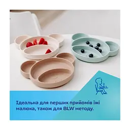 Тарілка дитяча Canpol babies Ведмедик силіконова на присосці з трьома відділами кремова (51/401_creme) - мініатюра 4