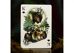 Карти гральні United States Playing Card Company Theory11 Moooi Extinct Animals (limited edition) (ВР_КИТМЕЕ) - мініатюра 6