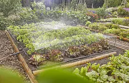 Комплект поливу Gardena Micro-Drip-System для клумб і грядок до 60 м2 (13450-20) - мініатюра 4