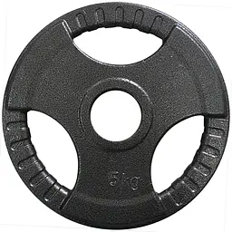 Набір дисків із хватами Newt Gym Set TI-30-SET - мініатюра 3
