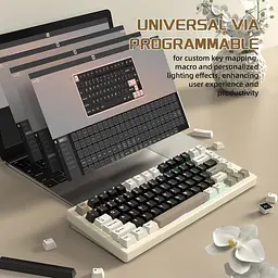 Клавіатура Attack Shark X75 RGB перемикачі Kailh MX кремово-біла (AS-6972792471457-CW-UA) [166744] - мініатюра 6