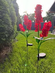 Світильники Sun Lamp садові на сонячній батареї декоративні квіти гіацинт 2 шт - мініатюра 7