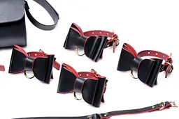 Набір для BDSM Master Series Bow - Luxury BDSM Set With Travel Bag - мініатюра 4