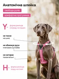 Шлея для собак Duomm No-Pull з повідцем, регульована та світловідбивна рожевий, S - мініатюра 5