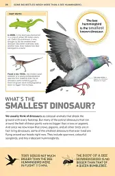 1000 Amazing Dinosaur Facts - мініатюра 4