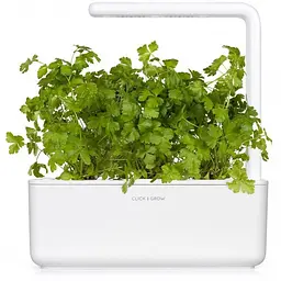Змінний картридж Click & Grow Smart Garden Петрушка, 3 капсули (7359) - мініатюра 3