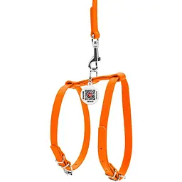 Шлея з повідцем для собак Waudog Glamour, шкіряна, з QR паспортом, 20-30х30-40х0,9/115 см, помаранчевий (33994) - мініатюра 2