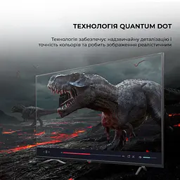 Телевізор SHARP 50GP6265E - мініатюра 4