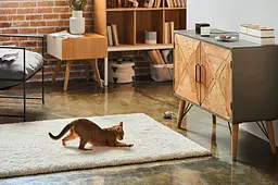 Компактна HD-камера Petcube Play 2 (PP20US) - мініатюра 7