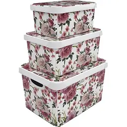 Коробка Qutu Style Box Rose 10 л (STYLE BOX с/к ROSY 10л.) - мініатюра 2