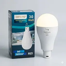 Лампочка кемпінгова Rainberg P921 30W акумуляторний, 1500 лм, холодне світло 6400K, 3 режими