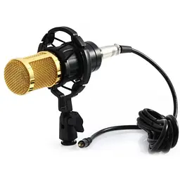 Мікрофон XPRO DM-800 студійний з підсилювачем (DM 800_832) - мініатюра 5