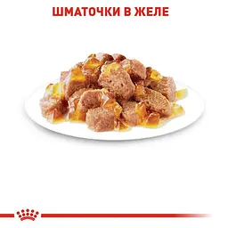 Вологий корм для кішок з чутливою шкірою і проблемною шерстю Royal Canin Hair Skin шматочки в желе 85 г - мініатюра 5