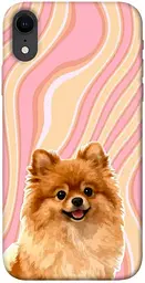 TPU чохол Demsky Pastel spitz для Apple iPhone XR (6.1")