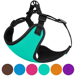 Шлея для собак дрібних порід Bronzedog Sport S 16х14х2 см бірюзова - мініатюра 8