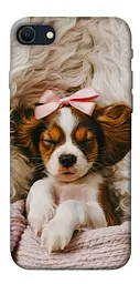 TPU чохол Demsky Sleepy spaniel для Apple iPhone SE (2020)