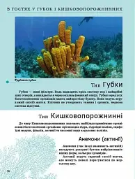 Комахи та інші - Тетяна Жабська - мініатюра 3