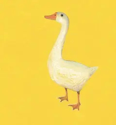 Farm Animals - Катерина Таберко - мініатюра 10