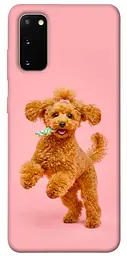 TPU чохол Demsky Happy poodle для Samsung Galaxy S20