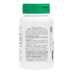 Натуральна добавка NaturesPlus Herbal Actives Boswellin 300 mg 60 вегакапсул - мініатюра 3